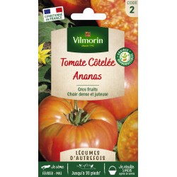 VILMORIN TOMATE Côtelée...