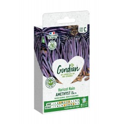 GONDIAN Haricot Nain...