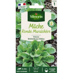 VILMORIN MÂCHE Ronde...