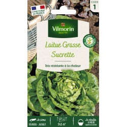 VILMORIN LAITUE Grasse...