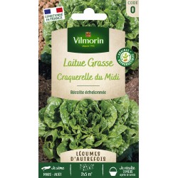VILMORIN LAITUE Grasse...
