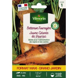 VILMORIN MAXI-GRAND...