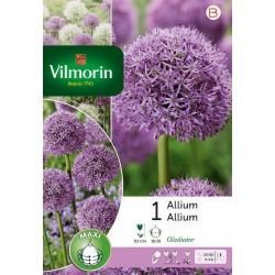VILMORIN ALLIUM Gladiator...