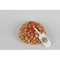 OIGNON Jaune Stuttgarter...