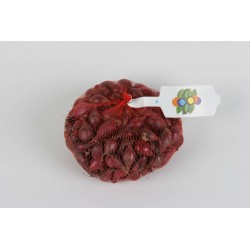 OIGNON Rouge Calibre 14/21...