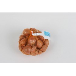 OIGNON Jaune Paille des...