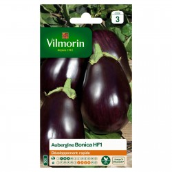 VILMORIN AUBERGINE Bonica...