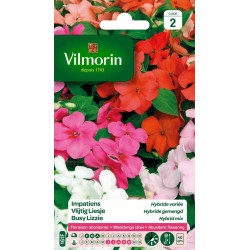 VILMORIN IMPATIENS Hybride...