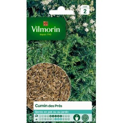 VILMORIN CUMIN Des Prés...