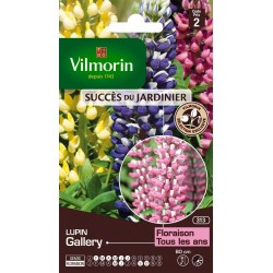 VILMORIN SUCCÈS DU...