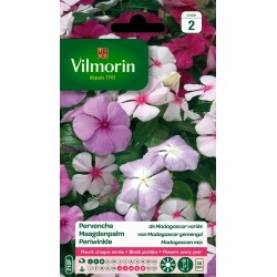 VILMORIN PERVENCHE De...