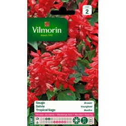 VILMORIN SAUGE Brasier...