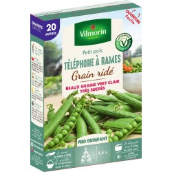 VILMORIN PETIT POIS À Rames...