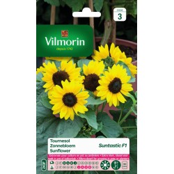 VILMORIN TOURNESOL...