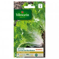 VILMORIN CHICORÉE SCAROLE...