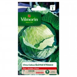 VILMORIN CHOU CABUS Quintal...