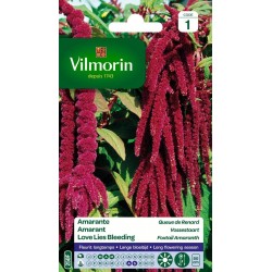 VILMORIN AMARANTE Queue De...