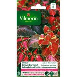 VILMORIN COLÉUS Arc-En-Ciel...