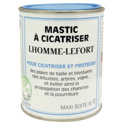 LHOMME-LEFORT SOINS AUX...