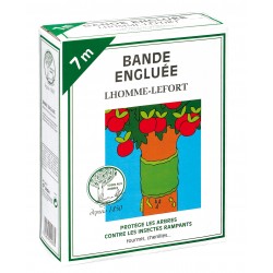 LHOMME-LEFORT SOINS AUX...