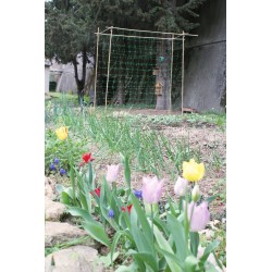 Filet à ramer 2X5M Vert