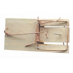 Tapette souris vrac 10X5