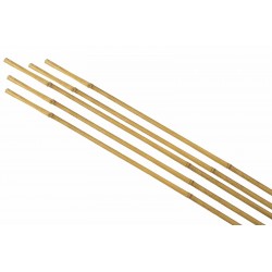 Tuteurs bambou 8/10-H90 Lot...