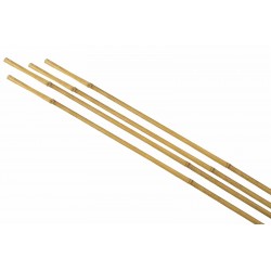 Tuteurs bambou Ø10/12-H120...