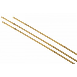 Tuteurs bambou Ø14/16-H150...