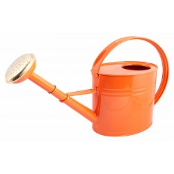 Arrosoir Ovale Acier...