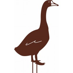 Oie à piquer 50x34 fer...