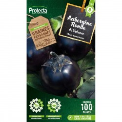Graines Aubergine Ronde De...