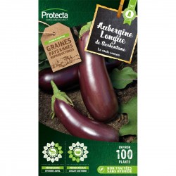 Graines Aubergine Violette...
