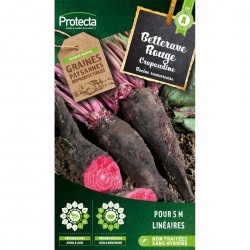 Graines Betterave...