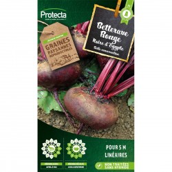 Graines Betterave Noire...