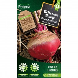 Graines Betterave De...