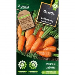 Graines Carotte De...