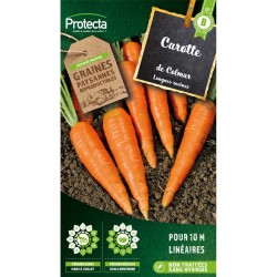 Graines Carotte De Colmar À...