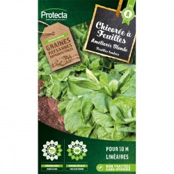 Graines Chicorée Améliorée...