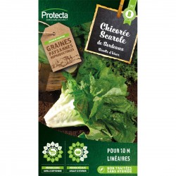 Graines Chicorée Scarole En...