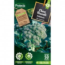 Graines Chou Brocoli À Jets...