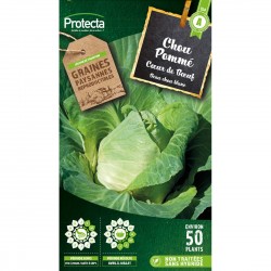 Graines Chou Cabus Coeur De...