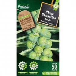 Graines Chou De Bruxelles...