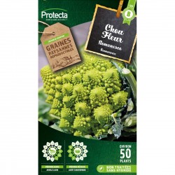 Graines Chou Fleur...