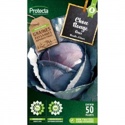 Graines Chou Rouge Gros...