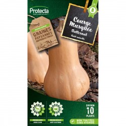 Graines Courge Musquée...