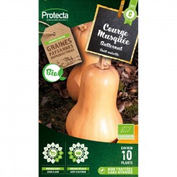 Graines Courge Musquée...