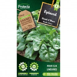 Graines Epinard Géant...