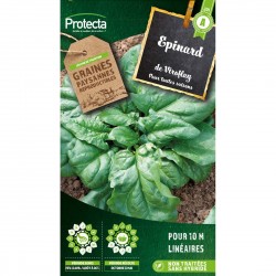 Graines Epinard Monstrueux...