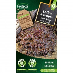 Graines Laitue À Couper Red...